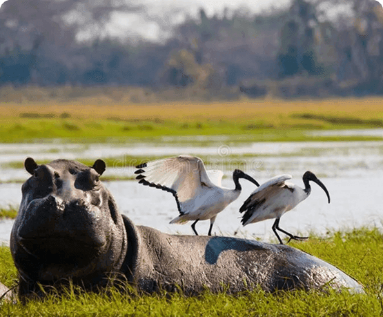 Frame 1171277494.png