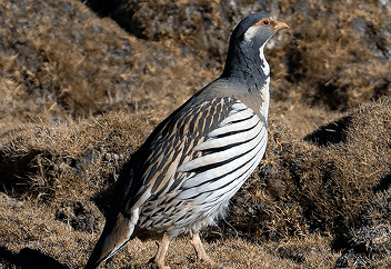 Frame 1171277694.png